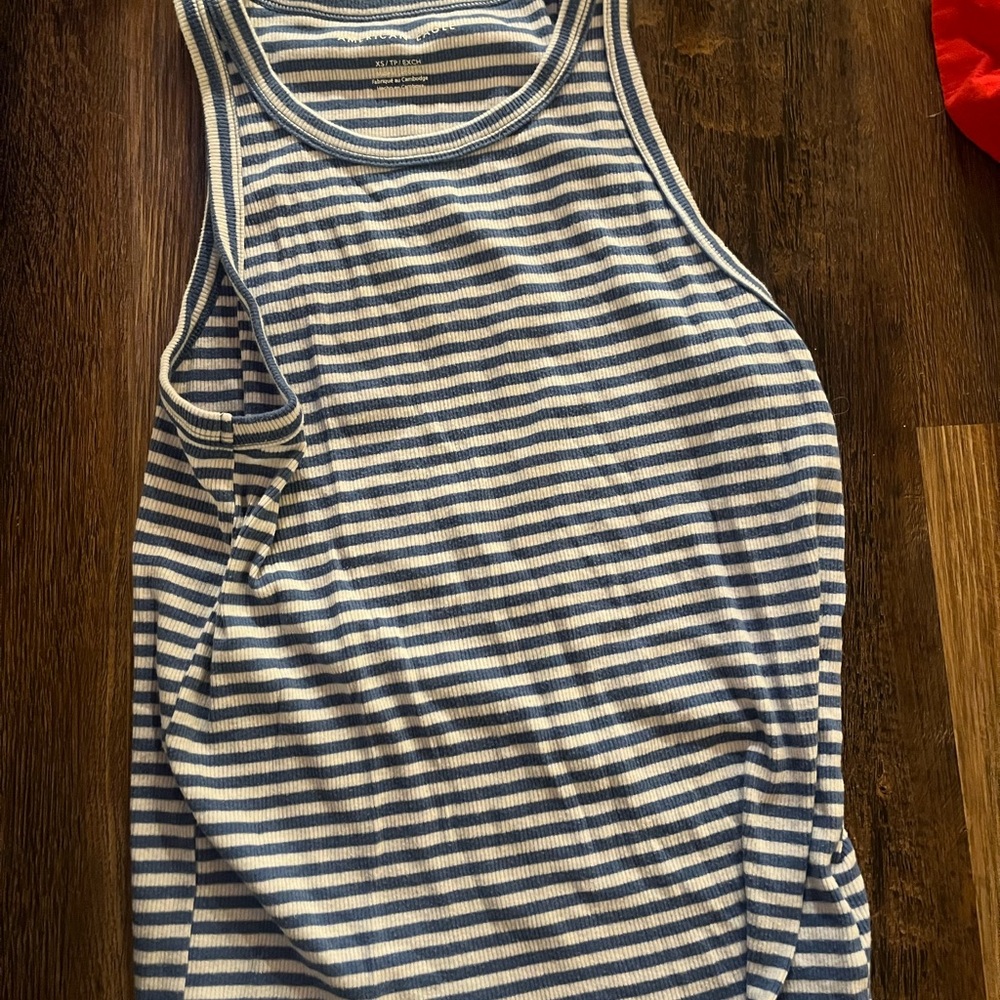 American Eagle Outfitters Blue and White Striped Ribbed Tank Top